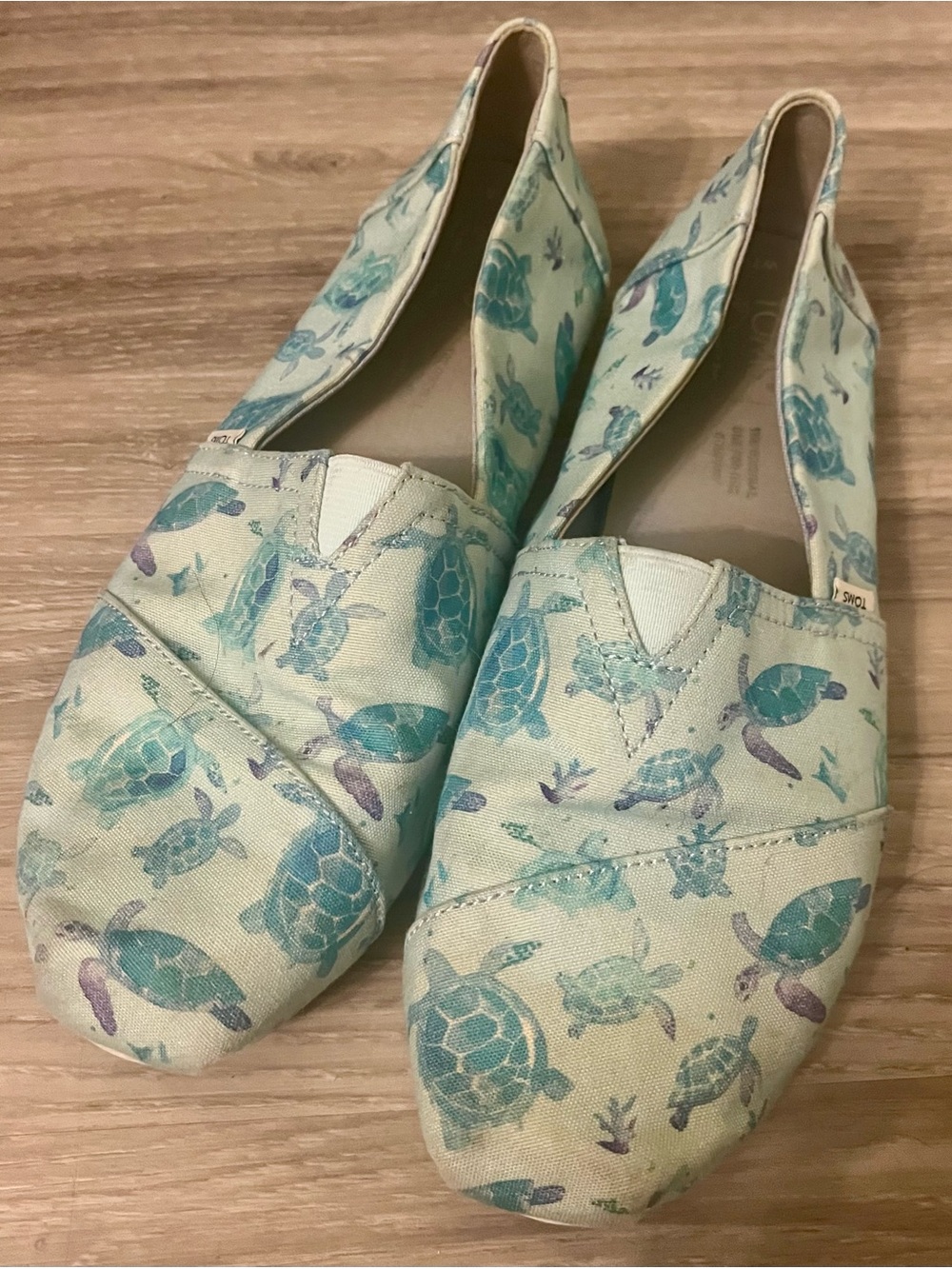 Toms Sea Turtle Print Slip-On Shoes in Aqua and Cream